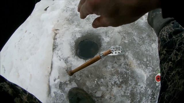 Не могу взять, рвет как бешеный! Обской лещ на мормышку. смотреть онлайн