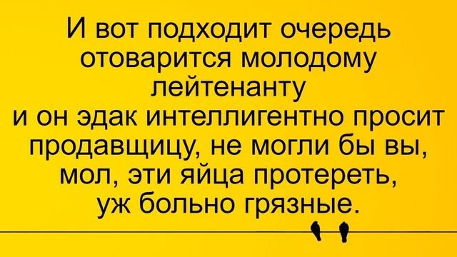 Продавщица и яйца лейтенанта... Лучшие длинные анекдоты и жизненные истории