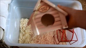 ОБУСТРАИВАЕМ КОНТЕЙНЕР ДЛЯ ХОМЯКА