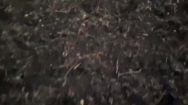 Сайга 410к-04: Релоад. Ч1- дробь «7» и проба навески. смотреть онлайн