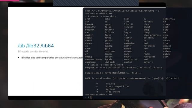 Command line interfaces Essentials: Enter LInux FHS смотреть онлайн