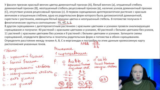 РАЗБОР НОВОГО ВЕРОЯТНОГО ЗАДАНИЯ 29 | ЕГЭ Биология