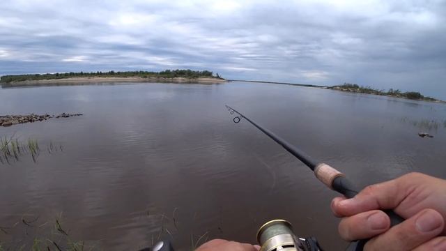 РЫБАЛКА 2020!!! НА ЧЕРНЫХ КАМНЯХ. ОКУНИ НА РОЖНЕ! смотреть онлайн