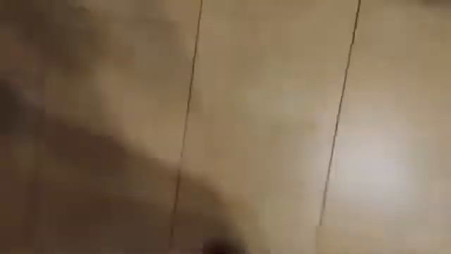 WoT ЭТО ПРИКОЛ Как играют легкие танки смотреть онлайн