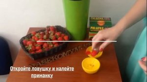Декоративная ловушка с приманкой для плодовых мошек