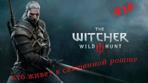 Ведьмак 3 прохождение The Witcher 3 Дикая охота часть #28