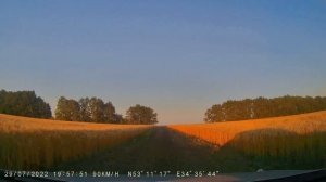 Дорога до платного водоема Ягодный - 2022 год