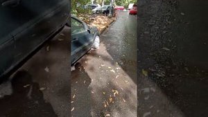 получил штраф 5000 руб. показываю за что. Приложение помошник Москвы. парковка на газоне в Москве