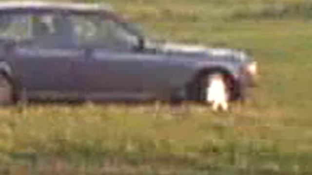 АЦАМАЗ рулит смотреть онлайн