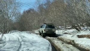 Дак, ниссан террано 50 кузов