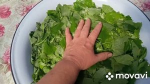 Заготовка на зиму из чесночных стрелок и лебеды.