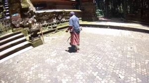 Endless Summer Island