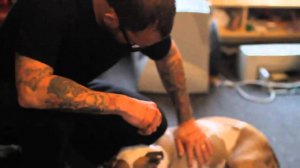 мой друг уехал...