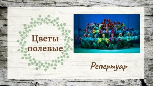 Цветы полевые // Ансамбль "Берёзка"