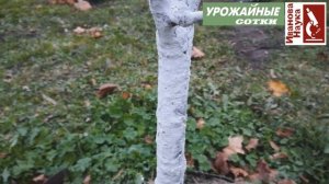 ТАКАЯ побелка - лучшее решение для вашего сада. Безопасна, защищает, не стирается и не смывается.