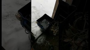 ОКРАСКА И КОНСЕРВАЦИЯ КАПКАНОВ