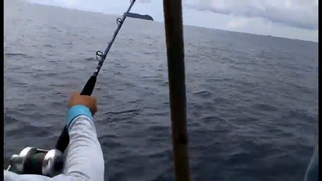 Огромная кобия смотреть онлайн