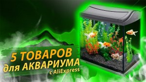 5 лучших товаров для аквариума с АлиЭкспресс / КРУТЫЕ ТОВАРЫ ДЛЯ АКВАРИУМА с AliExpress!