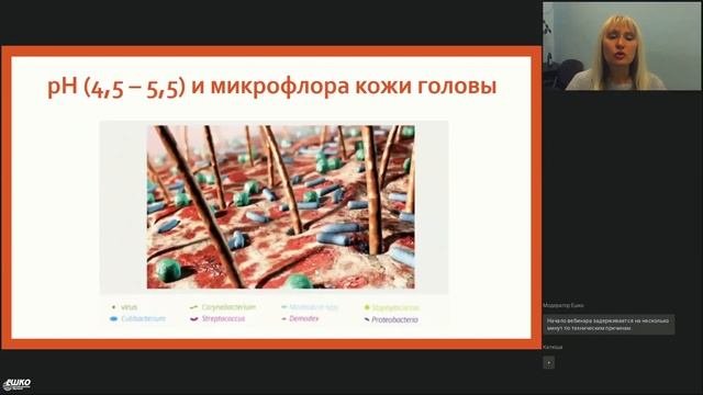 Вебинар по курсу 