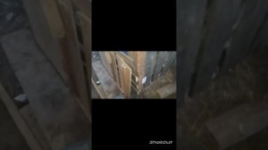 Мопед альфа. ЗАМЕНА ДВИГАТЕЛЯ НА 72СС