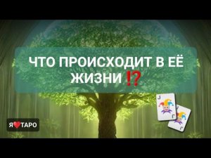 Что происходит в её жизни⁉️ расклад таро для мужчин