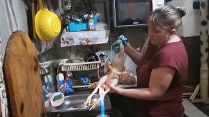 Началось... Опять сами. Минус два. Жизнь простых людей. Украина.