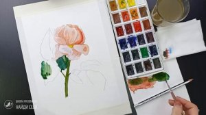 ?Цветы акварелью. Легкий скетчинг акварелью для начинающих. Роза акварель.Школа рисования Найди себ