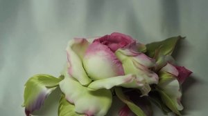 Зеленая французская роза