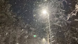 Снег кружится