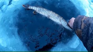 Ночная щучка. Зимняя рыбалка на озере Д - 3