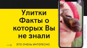 Улитка - природный косметолог