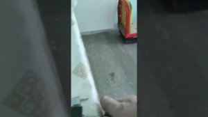 Настройка форсунок ГБО