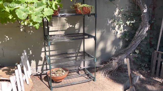 Armando nuevo INVERNADERO de Suculentas en nuestro Jardín! | PARTE 5 смотреть онлайн