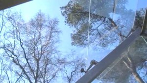 Дом в центре г. Светлогорска 51 500 000 рублей