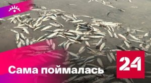 В Магадане началась "ленивая" рыбалка - Россия 24