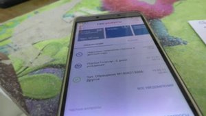 Почему в Гос услугах не проходит снилс