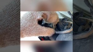 Замена лампы габарит/стоп на тойоте карине 190 кузов «улыбка»