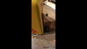 Hand Baggage Checker AR app for Pegasus Airlines
