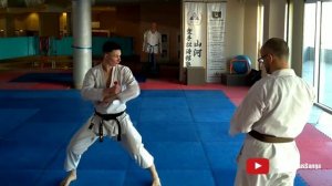 Heian Godan - Хэйан Годан - разбор ката JKA
