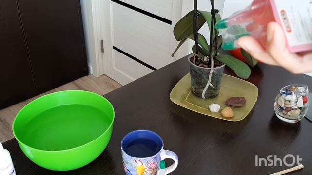 Орхидея 12 ай қаулап өседі. Orhid #гүлкүтімі #фуджима #азот #фосфор #калий #удобрение #витаминыВиС смотреть онлайн