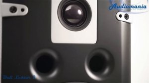 Полочная акустика DALI Lektor 2