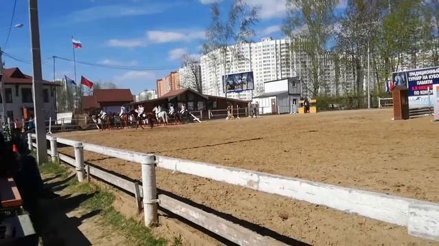 Игра займи свое стойло! КСК Фаворит смотреть онлайн