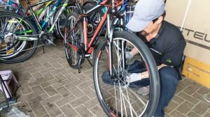 Hartman Ingword 29 MD