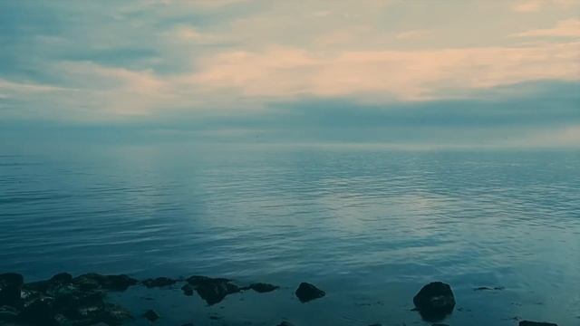 Relaxing Sleep Music || Calm Music ? смотреть онлайн