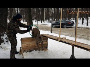 Пума Месси "ПРОДЛЁНКА" ;) Puma Messi "after school club" ;)