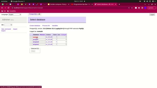 Docker compose postgresql and adminer смотреть онлайн
