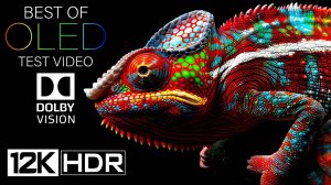 12K HDR 240fps DOLBY VISION OLED Тестовое видео (2024)