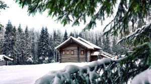 Нереально красивая зима! Новый год! Зимняя природа во всех красках.