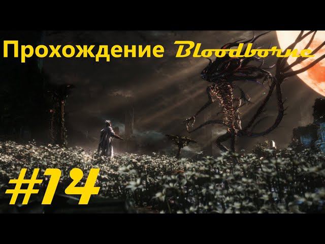 Прохождение Кровавогорождения / Bloodborne walkthrough. Часть 14