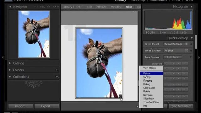 1a. Установка Camera RAW. Панель инструментов (Toolbar). Библиотека (Library). Adobe Lightroom смотреть онлайн